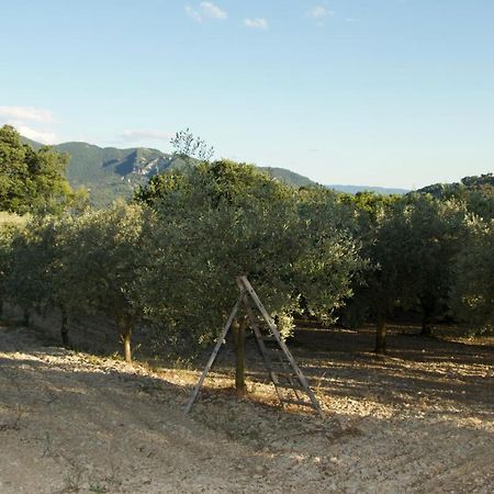 Mas Provencal La Serallere Au Coeur Des Oliviers Venterol  Eksteriør bilde
