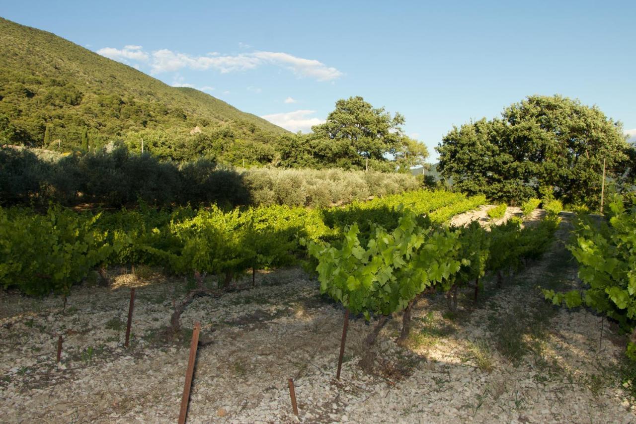 Mas Provencal La Serallere Au Coeur Des Oliviers Venterol  Eksteriør bilde