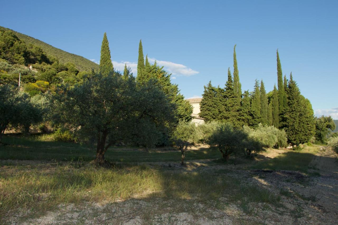 Mas Provencal La Serallere Au Coeur Des Oliviers Venterol  Eksteriør bilde