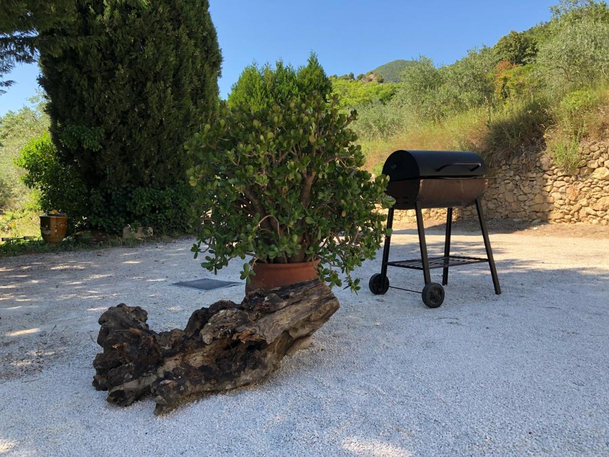 Mas Provencal La Serallere Au Coeur Des Oliviers Venterol  Eksteriør bilde